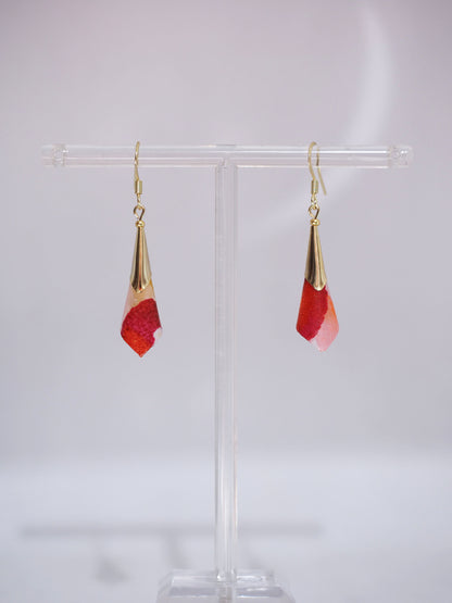 Boucles Cone